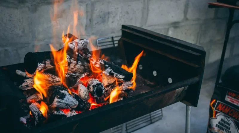 Quel est le meilleur charbon de bois pour barbecue ?
